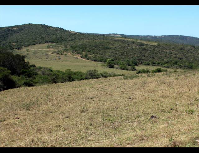 226HA FARM FOR SALE IN KOMGA RURAL
